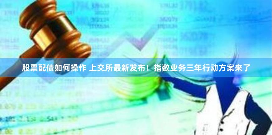 股票配债如何操作 上交所最新发布！指数业务三年行动方案来了